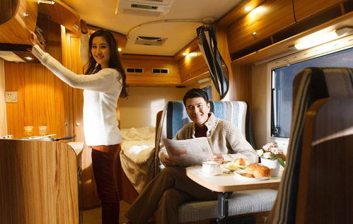 免费解锁《头等舱危机》攻略：体验头等舱冒险之旅