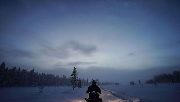 《荒野猎人双剑秘籍：新手必看招式进阶攻略》