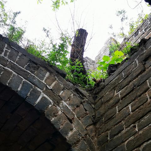 《魂2隐藏门+神器攻略：一网打尽，轻松通关！》