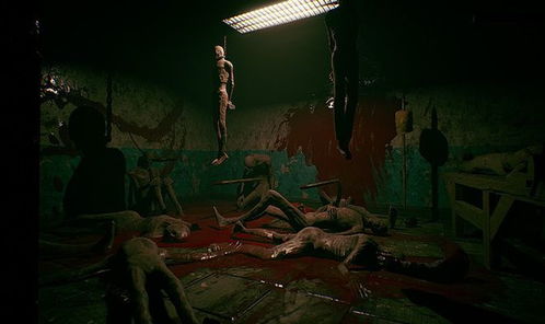 《2Dark》深度体验：剧情玩法解析，沉浸式惊悚之旅！