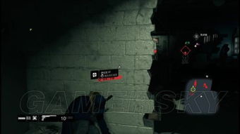 看门狗新手攻略：深度解析入门技巧与进阶策略