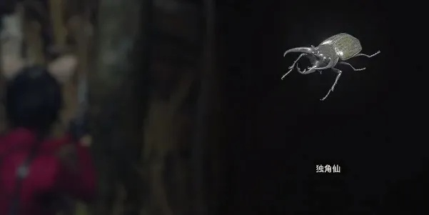 《生化4重制版》第四章独角仙隐藏位置速查攻略