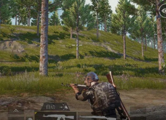 《绝地求生》绿血解析：实战优势全揭秘，实战利器！