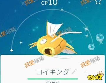 皮卡丘盖欧卡同款鱼饵，捕捉梦幻之鱼！