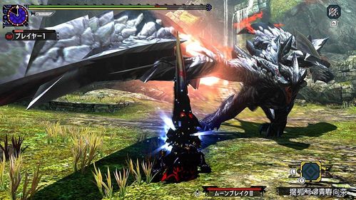 《怪物猎人XX》手剑图鉴深度解析，独家配装攻略大揭秘