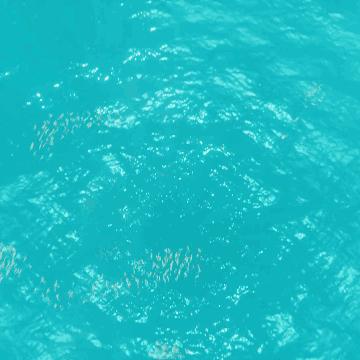 探索《ABZU》奥秘：沉浸式全流程实况解说，揭秘海洋奇幻之旅