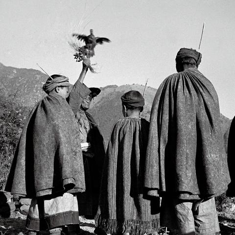 《荒原先驱》购前必看：版本解析与配置攻略全解析