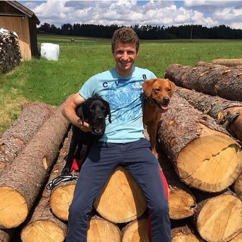 《幻想生活i》全职业毕业盛装秀，独家伙伴搭配攻略！