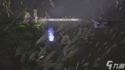 《黑神话悟空》精魄位置揭秘！独家视频合集大放送