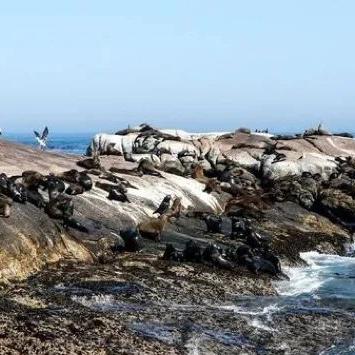 《神秘海域4》导演炮轰《GT Sport》：拍照模拟游戏实至名归