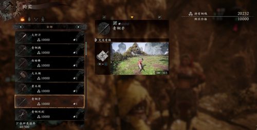 《卧龙苍天陨落》绝版武器秘技全解析，高效获取攻略大公开