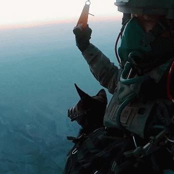 《深入敌后：雷神战争》攻略全解析！隐藏技巧大揭秘