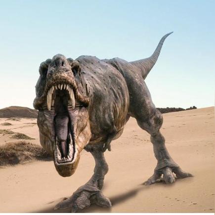 《第五人格》第四十一赛季精华2今日揭幕，迷雾真相新篇章启航！