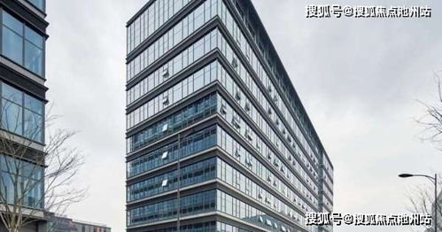 六指琴Build攻略：深度解析太吾绘卷新版本核心技巧
