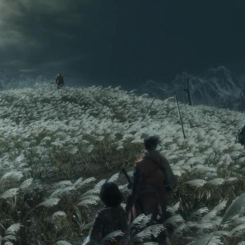 只狼：影逝二度Steam售价揭秘，性价比之选！