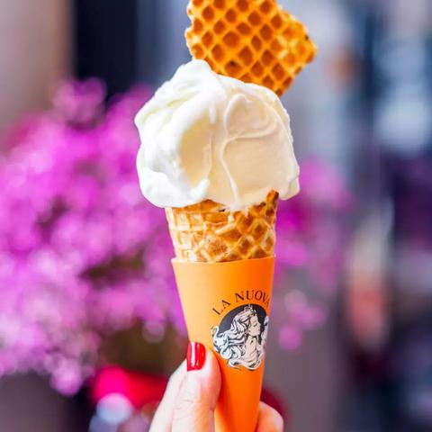 《奇异小队》全关卡要素攻略：罐子、遗物、日记猫藏匿位置揭秘