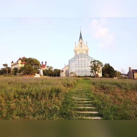 泡泡游戏隐藏玩法曝光，3个冷门技巧让你胜率提升90%老玩家都在偷偷练！