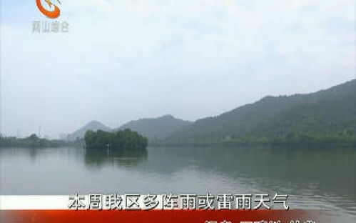 《羊了个羊》通关秘籍！12月7日挑战成功攻略大揭秘