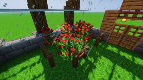 千柱花园秘境解锁攻略：轻松掌握秘境开启新技巧