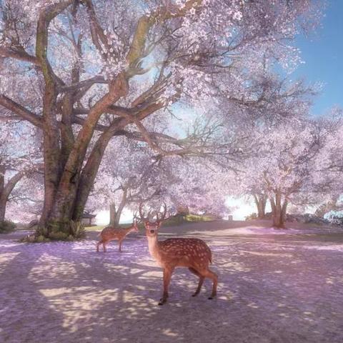 逆水寒舞阳城老一平民通关秘籍，轻松战胜英雄攻略解析