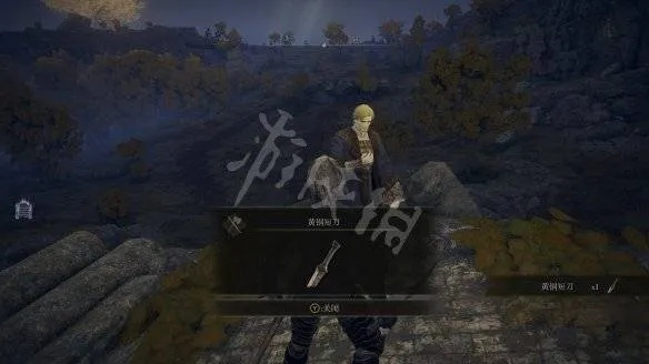 《艾尔登法环》新手攻略：前期生存技巧深度解析