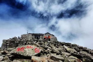 千壑沙地石点位攻略：圣章秘境探秘指南