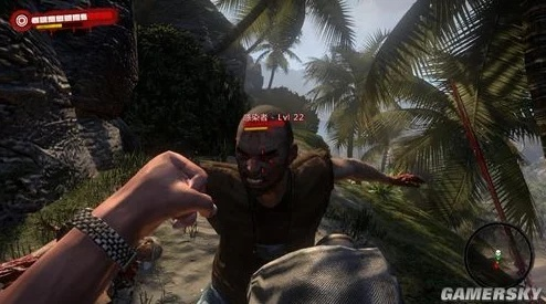 死亡岛视频里藏了多少干货？高玩独家彩蛋+生存技巧解析！