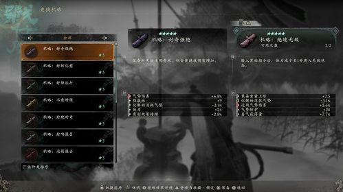 《卧龙苍天陨落》头盔隐藏攻略：轻松隐藏技巧大公开