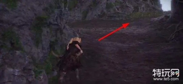 《卧龙苍天陨落》天柱山后院钥匙攻略：道士家后庭密钥获取技巧分享