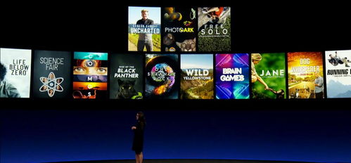 阿吉塞纳尔加盟攻略：揭秘《风帆纪元》独特招募技巧