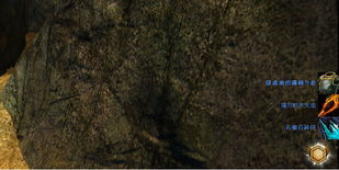 千壑沙地仙灵藏匿探秘，揭秘27位神秘仙灵新坐标