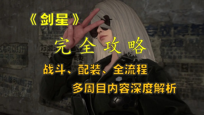 剑星实战攻略：高效配装技巧揭秘