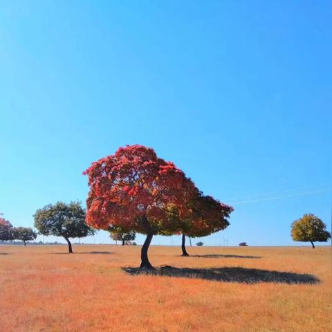 沙漠风暴2沙尘暴模式必看，冷门职业如何逆袭拿MVP？2025年最新隐藏机制曝光