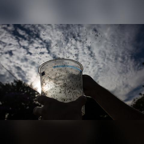 《生化危机4、5》惊悚揭秘：病毒肆虐，英雄崛起，拯救世界新篇章