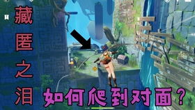 《原神》欢声之羽藏匿地点揭秘！速来寻宝