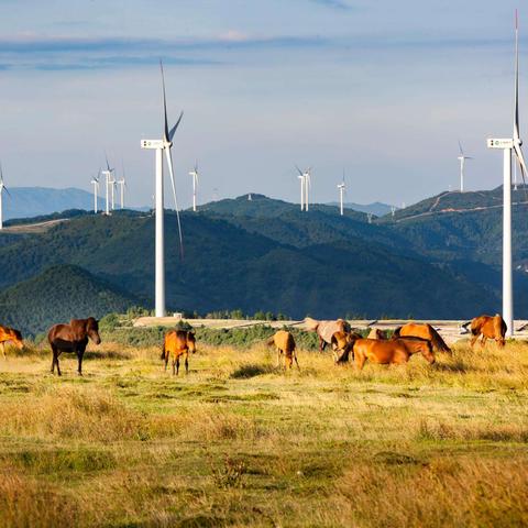 《都市天际线2》摄影天气设置攻略：打造完美城市风景