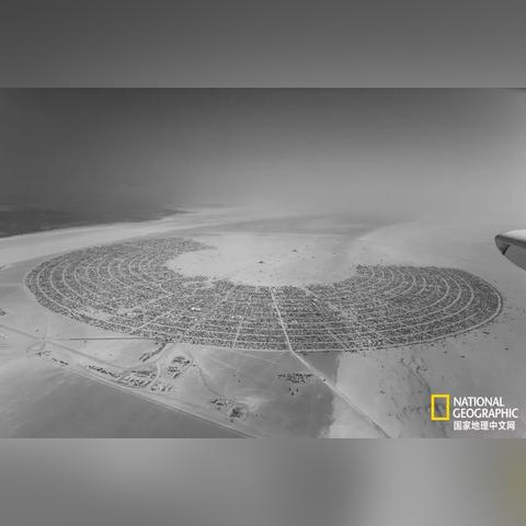 《看火人》狂热程度超预期！揭秘游戏火爆背后的秘密