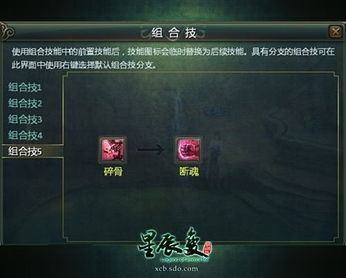 星辰变血魔，隐藏连招一秒破万伤？2025最新流派实战全解析