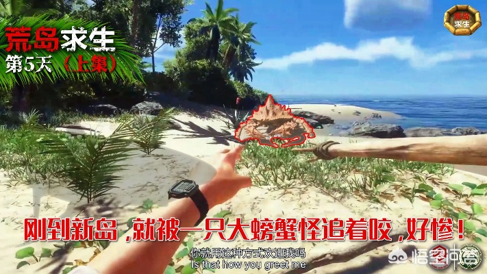 《荒岛求生美女岛攻略：全流程逃出生天秘籍解析》
