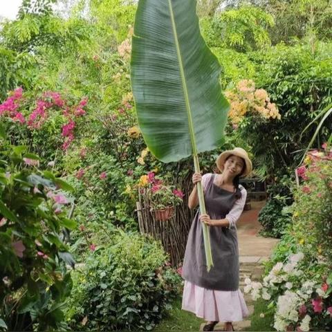 《荒岛求生美女岛攻略》剧情模式关键选项深度解析