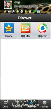 彩虹论坛box怎么玩？3个鲜为人知的实战技巧让你领先版本！