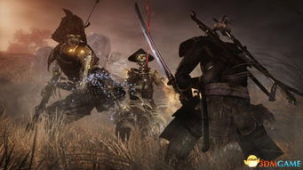 《仁王》&《狂战传说》PS4免费主题截图，独家赏！