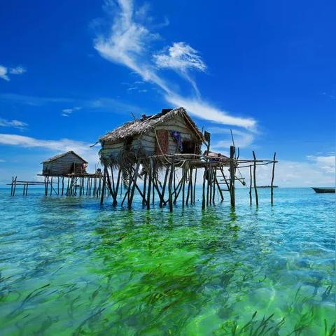 《森林之子》独门秘籍：轻松获得潜水服！