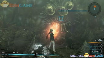 最终幻想XIV 2025，隐藏职业星咏者真能解锁？零式本开荒必知3个冷门机制！