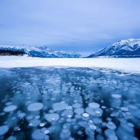 《绝区零》冰封秘技揭秘：如何轻松触发冻结效果