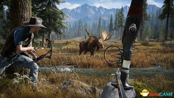 《孤岛惊魂5》西部冒险大作，2017年秋季震撼发售！