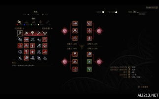 次世代巫师3熊派装备攻略，全面解锁收藏秘籍！