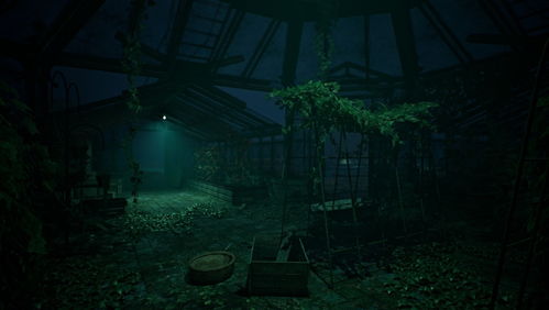 破碎怪谈,雾雨村Steam上线,第一人称恐怖探索咋玩?