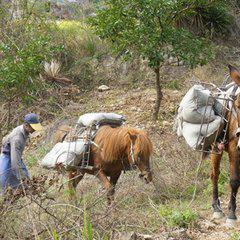 羊了个羊第二关11.3通关秘籍：轻松解锁新境界