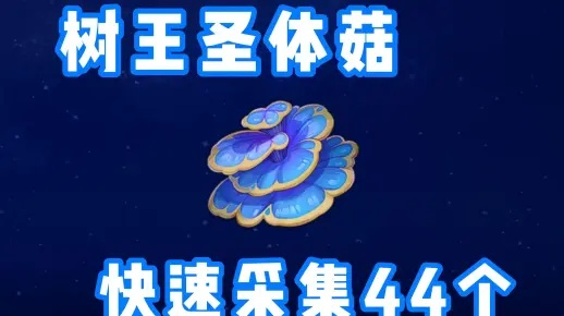 须弥树王圣体菇高效采集攻略，解锁神秘采集新技巧